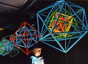 polyhedra nests